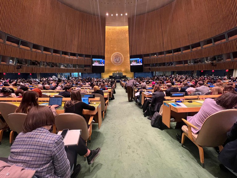 10032025_CSW_Plenário_3.jpeg