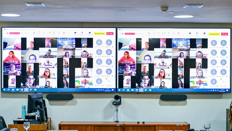 Mulheres, Políticas Públicas e Participação Socia