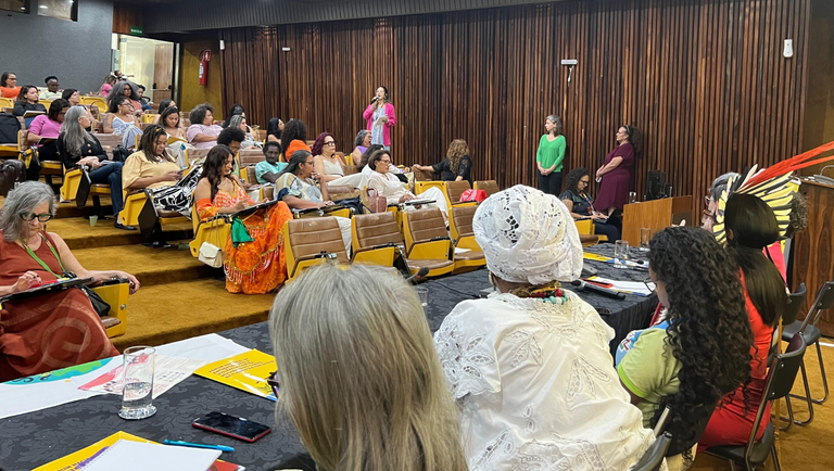 1° Seminário do Fórum Nacional de Enfrentamento à Violência contra Mulheres do Campo, da Floresta e das Águas