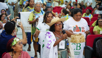No Maranhão, encontro regional pré-COP30 reúne quebradeiras de coco