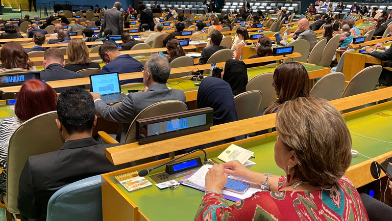 Reunião de Alto Nível pelos 30 anos da Declaração e Plataforma de Ação de Pequim