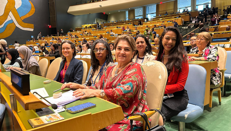 Reunião de Alto Nível pelos 30 anos da Declaração e Plataforma de Ação de Pequim
