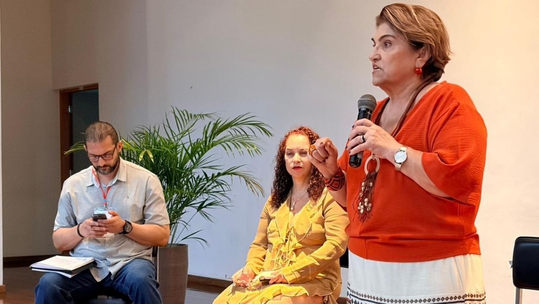 Painel temático “Avanços nas políticas sociais e econômicas no Brasil e os Objetivos de Desenvolvimento Sustentável (ODS) da Organização das Nações Unidas (ONU)"