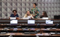 Ministério das Mulheres participa de audiência no Congresso sobre violência econômica e autonomia financeira feminina