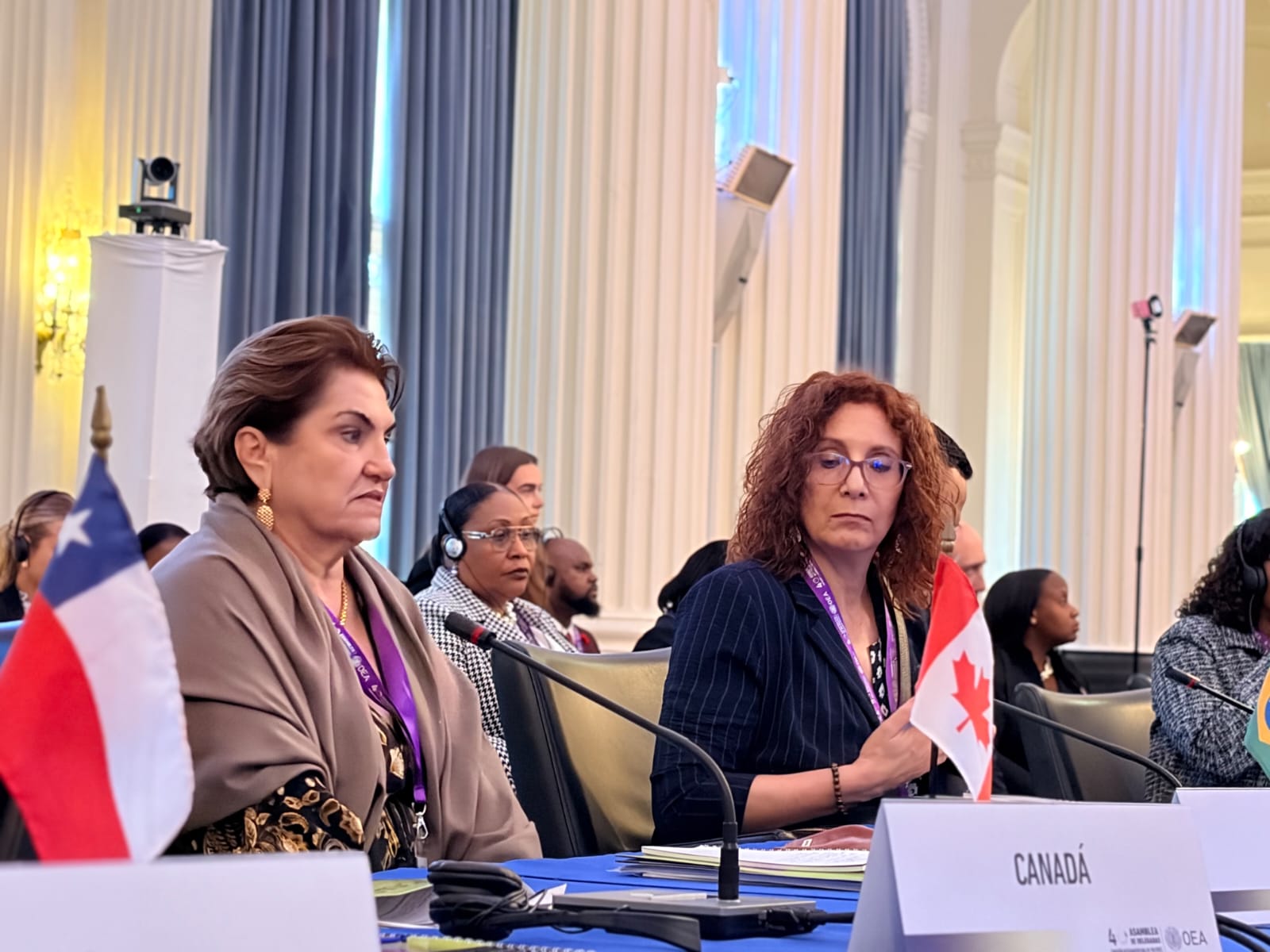 Minsitra Márcia Lopes, em evento da OEA