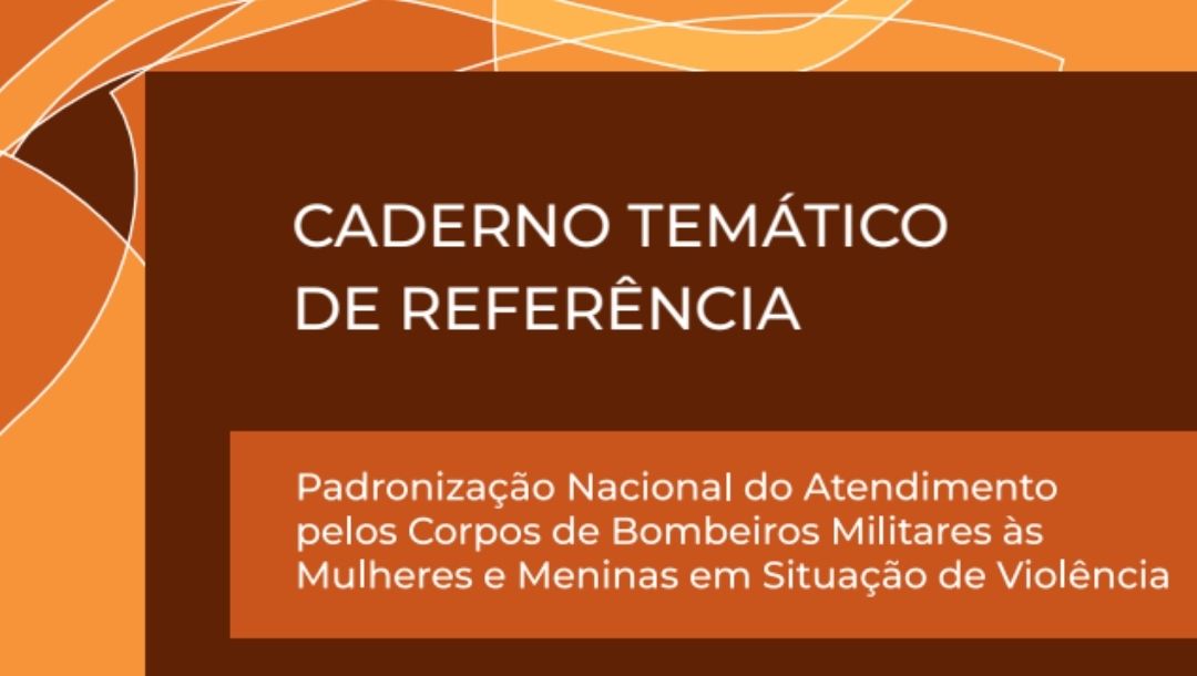 O documento é fruto de uma articulação interinstitucional iniciada em encontros técnicos nacionais