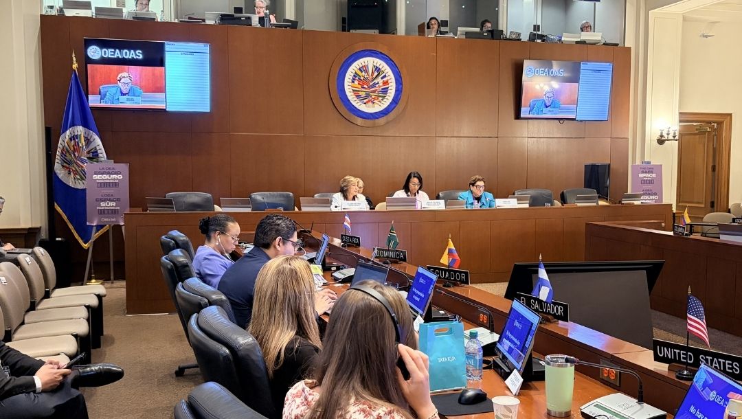 Apresentada por Márcia Lopes, a Declaração de Fortaleza é um dos documentos resultantes da X Conferência de Estados Parte do Mecanismo de Seguimento da Convenção de Belém do Pará (MESECVI)