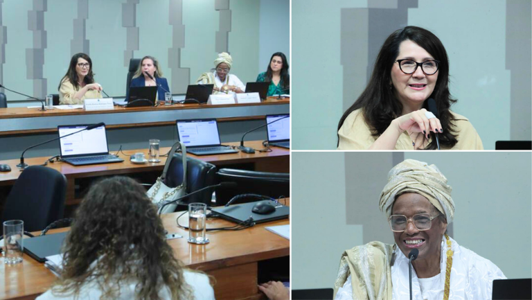 Audiencia pública - Senado.png