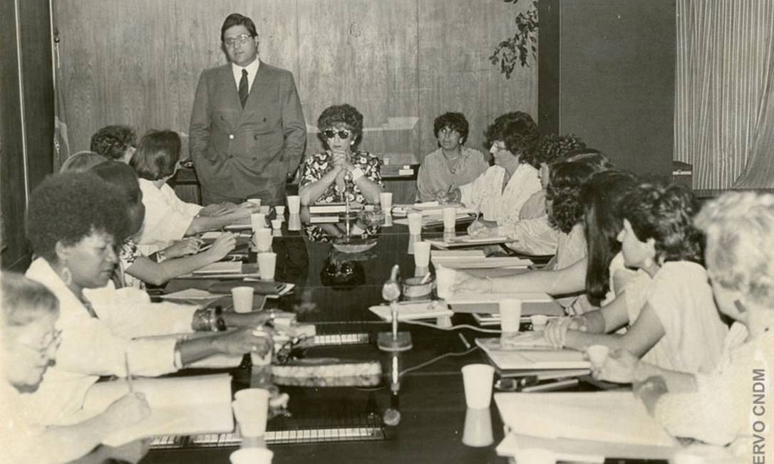 Reunião do Conselho Nacional dos Direitos da Mulher