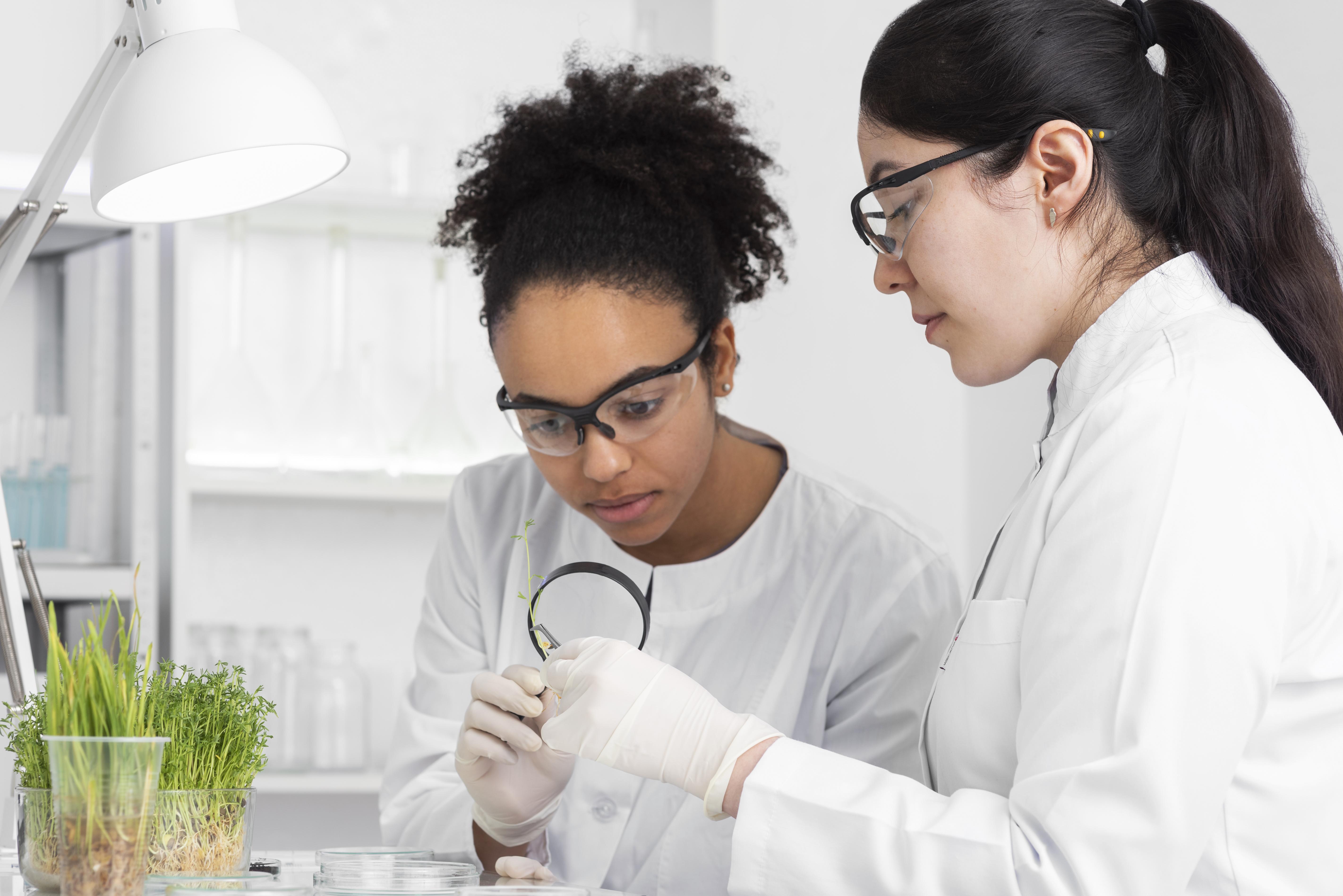 Mulheres cientistas