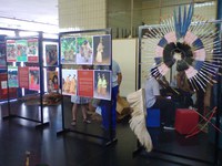 As culturas indígenas nas salas de aula