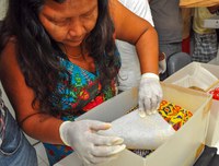 Servidores do Museu do Índio serão capacitados em práticas de salvaguarda e conservação de acervos