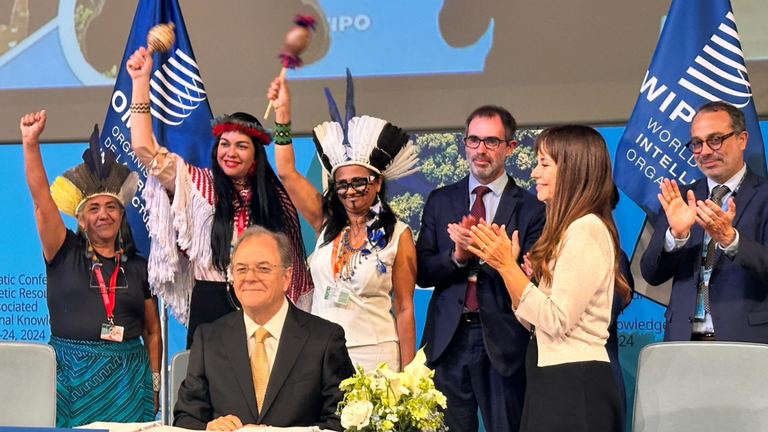 Foto: Bárbara Steudler