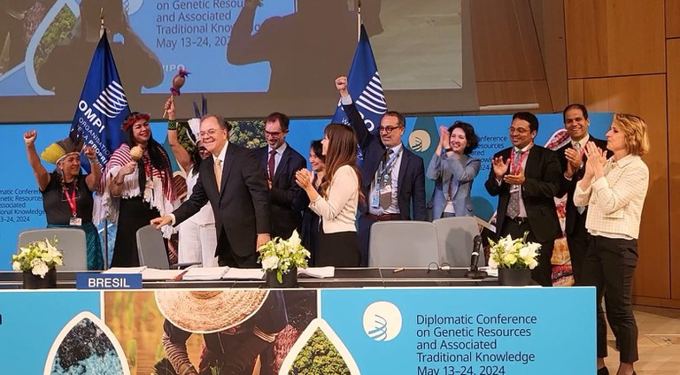 Foto: Bárbara Steudler