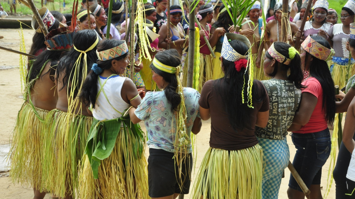 Museu/Funai e parceiros realizam Festival de Cinema Ecos da Terra na COP 30
