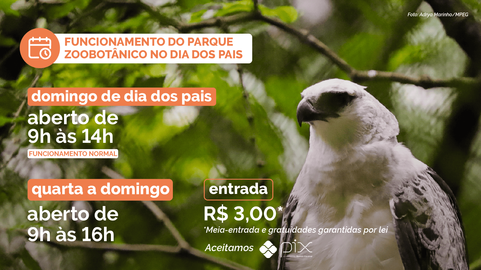 Banner com texto informativo sobre funcionamento do parque. Ao fundo uma ave de rapina entre folhas.