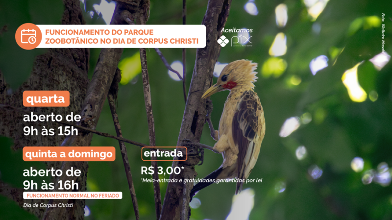 Banner informando funcionamento do PZB com imagem de um pica-pau.