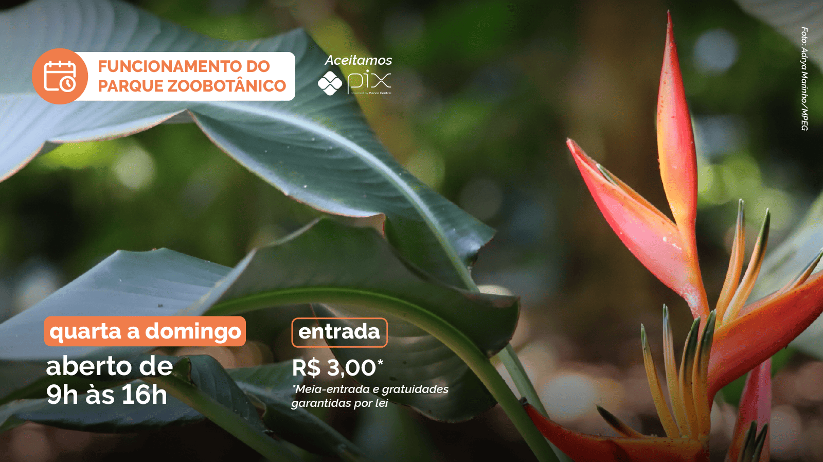 Imagem de Heliconia Bico de Papagaio  com informes sobre o funcionamento do PZB com horário e valor de ingresso