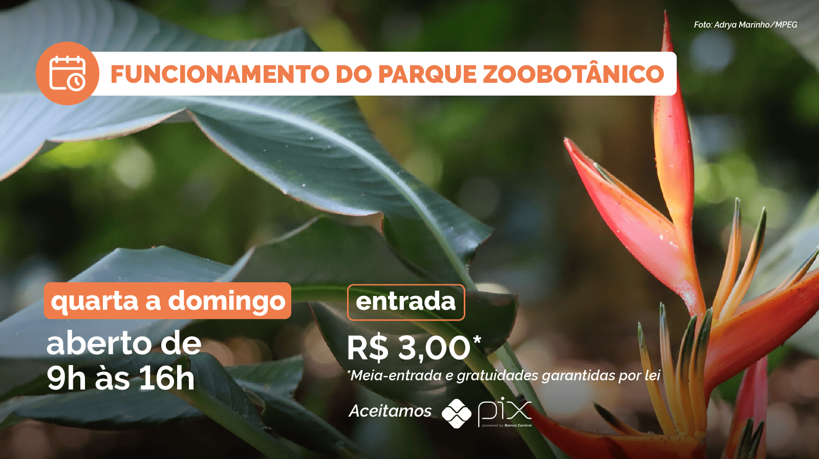 Horário de Funcionamento das Bases físicas do Museu Goeldi