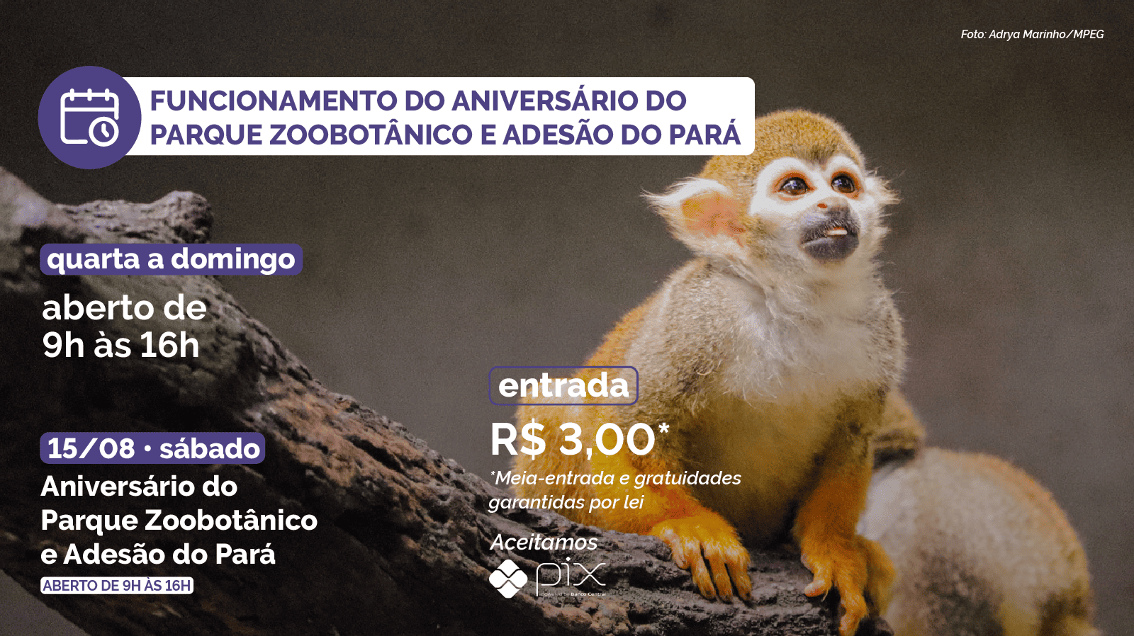 Funcionamento do parque no dia 15/08: aberto de 9h às 16h. Entrada: R$3,00