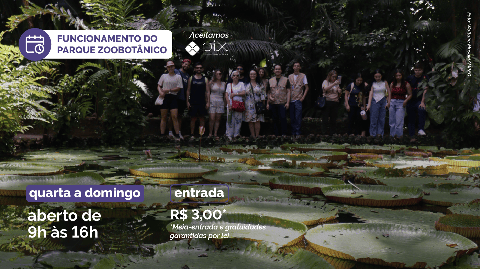 Imagens de visitantes próximo ao lado de Vitória Régia