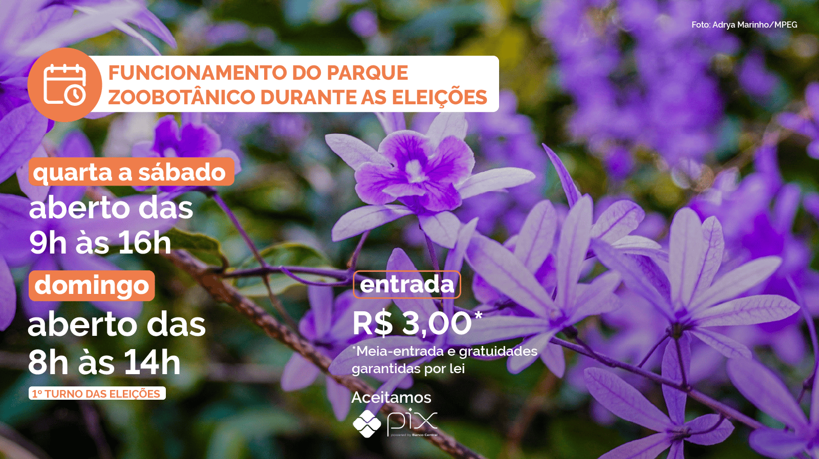 funcionamento do parque durante eleições. Domingo: aberto das 8h às 14h.