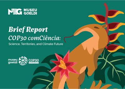 Brief Report COP30.png