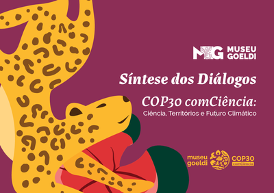 Síntese dos Diálogos COP30.png