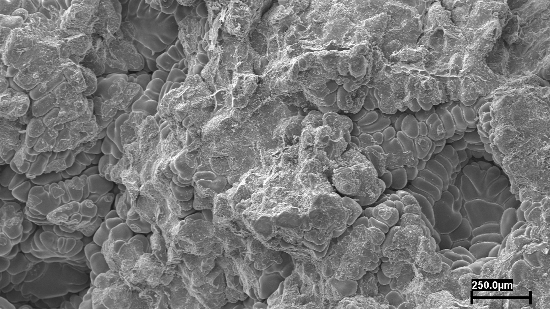 Superfície de Fratura em Liga de Aço