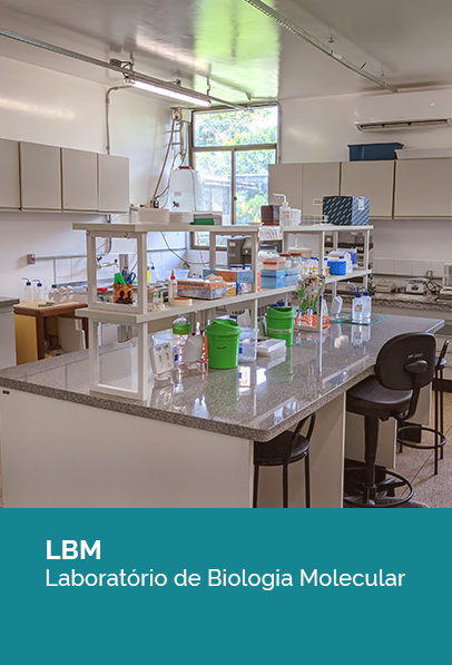 Laboratório de Biologia Molecular - LBM