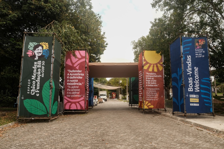 Montagem das estruturas. Alexandre Cruz Noronha (3).jpg