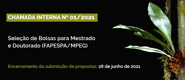 Seleção Bolsas FAPESPA/MPEG