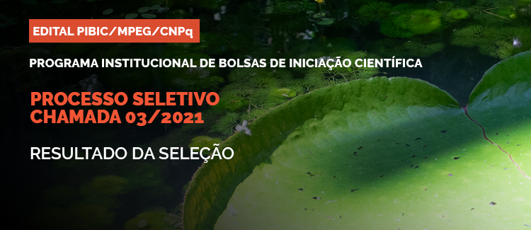 Acesse o resultado do Edital 03-2021