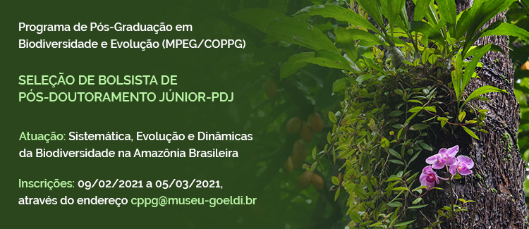 Seleção de bolsista Pós-Doc/PPGBE. Acesse o edital