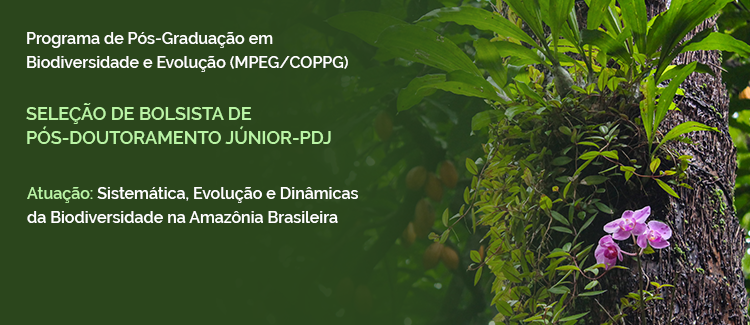 Lista preliminar de candidatos e cronograma Bolsa PDJ-PPGBE-MPEG. Acesse aqui