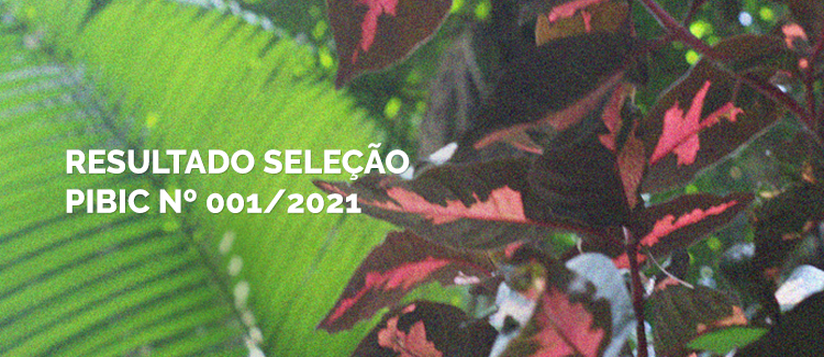 Resultado da Seleção PIBIC 01-2021. Acesse aqui.