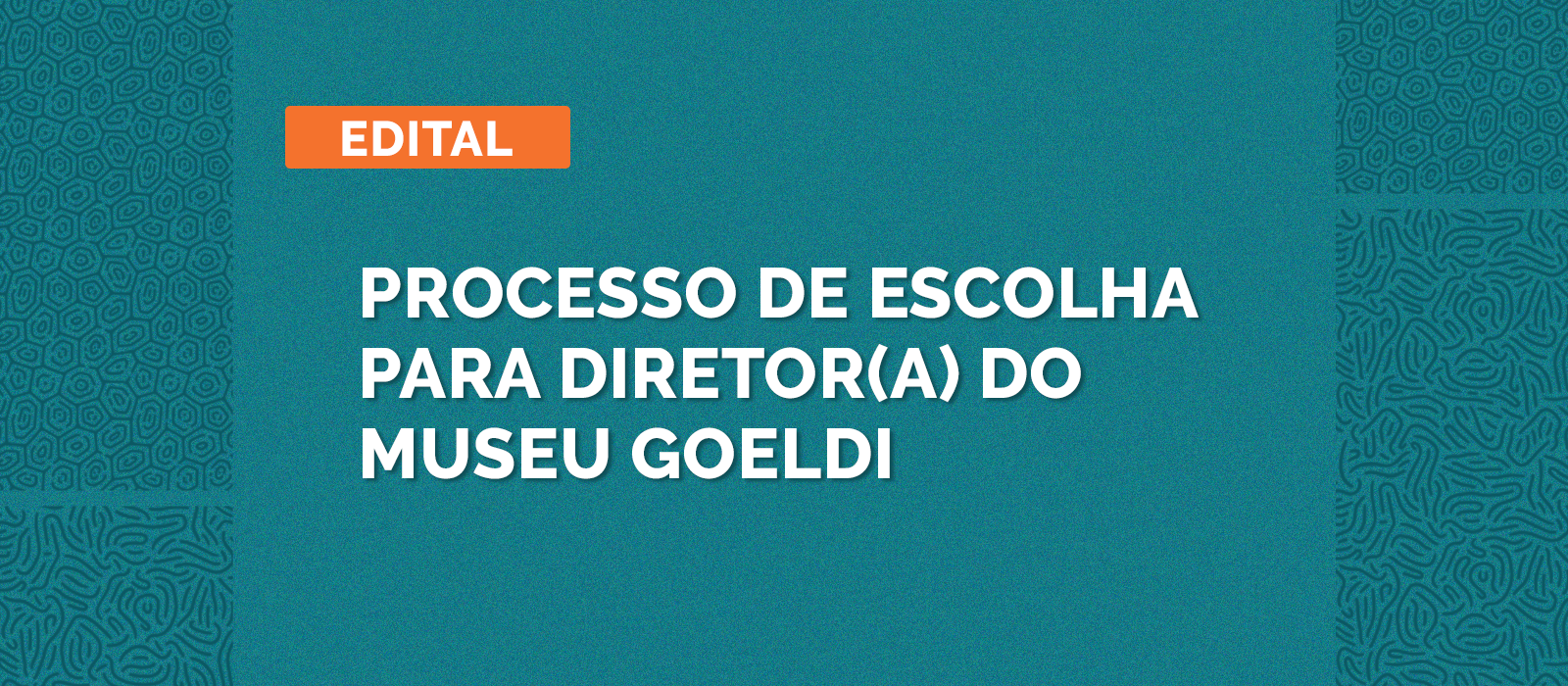 Acesse a íntegra do edital