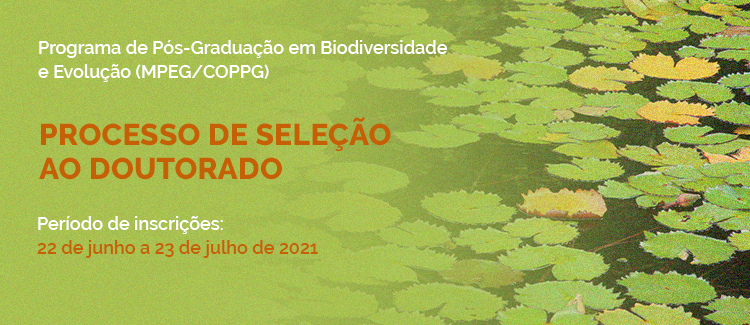 Processo de seleção ao Doutorado PPGBE 2021