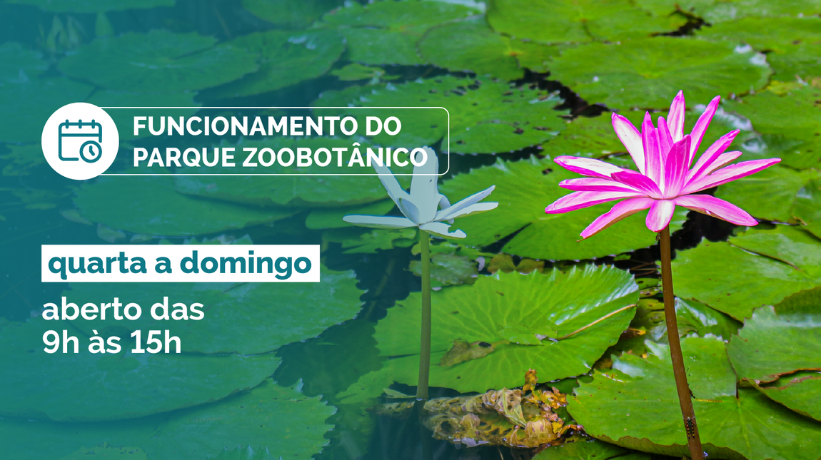 Funcionamento-19-22.02_Banner (1).png