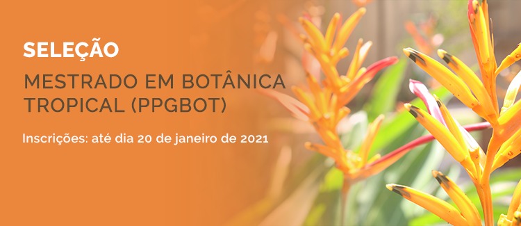 Acesse na íntegra a chamada 02/2020 do PPGDS/MPEG