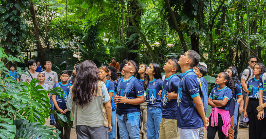 Grupo de jovens observam vegetação alta de um parque em uma trilha guiada