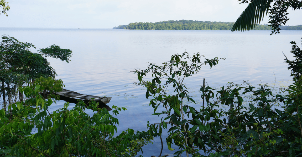 Paisagem amazônica composta por rio calmo cercado por vegetação densa, com uma pequena canoa de madeira na margem e uma ilha verde ao fundo sob um céu claro.