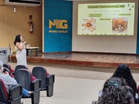 92 jovens pesquisadores participam do 33° Seminário de Iniciação Científica do Museu Goeldi