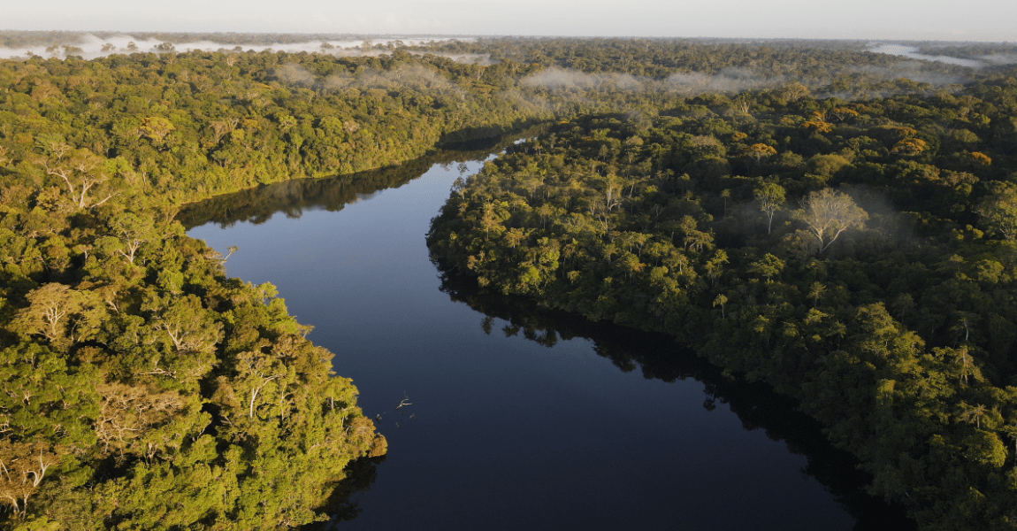 imagem de uma floresta densa cortada por um rio de águas escuras