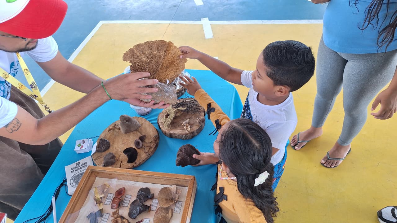 Duas crianças e um adulto observam e tocam diferentes tipos de cogumelos expostos sobre uma mesa azul, em uma atividade educativa ao ar livre.