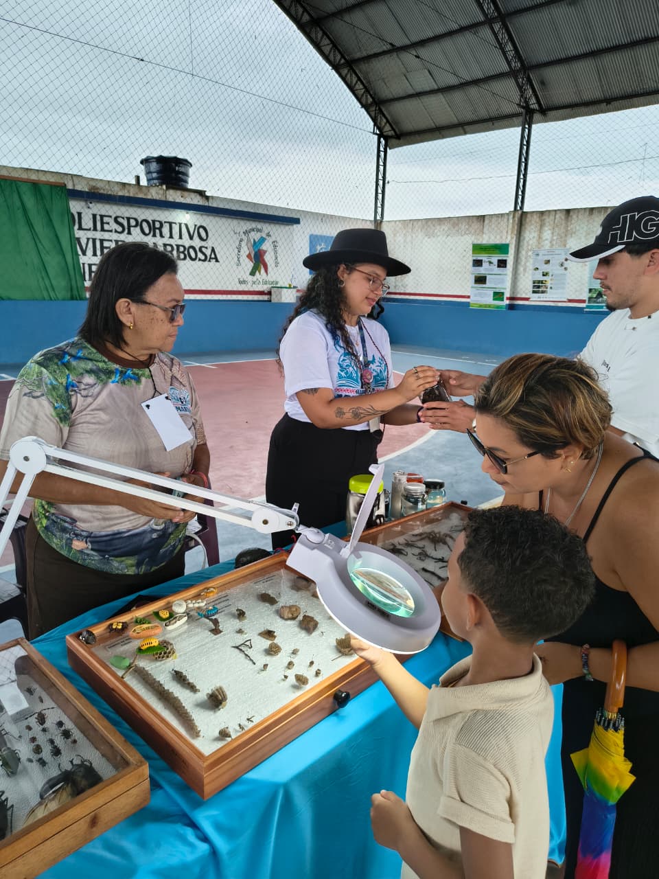 Em um ginásio, crianças e adultos observam o estande de átropodes expostos em mesas, usando uma lupa