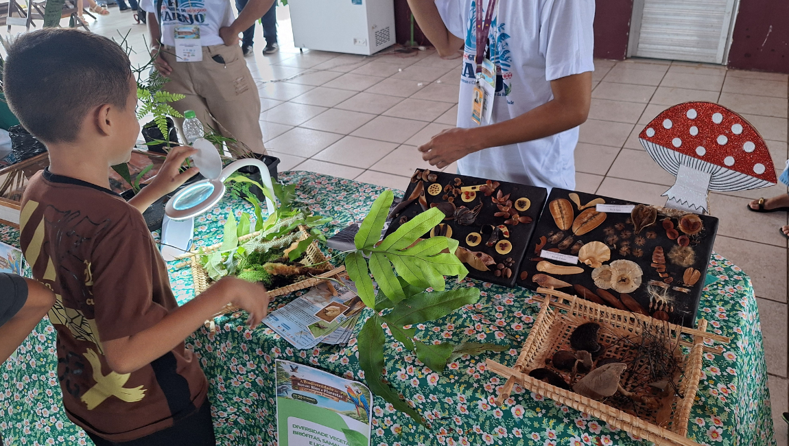 Template-Banner-PortalMG (1).png