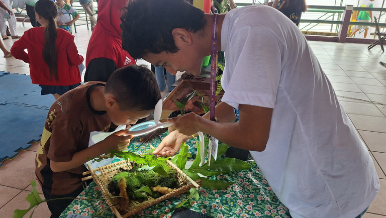 Template-Banner-PortalMG (2).png