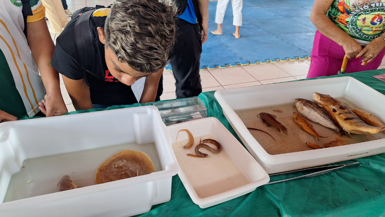 Template-Banner-PortalMG (3).png