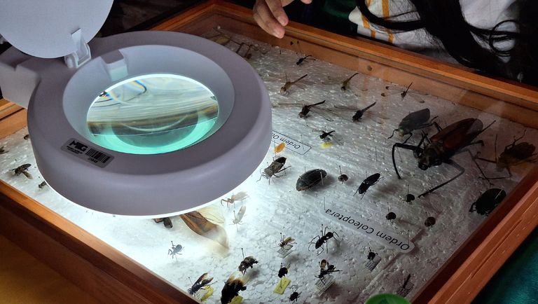 Template-Banner-PortalMG (4).png